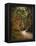 Autumn Forest 2-Jai Johnson-Framed Premier Image Canvas