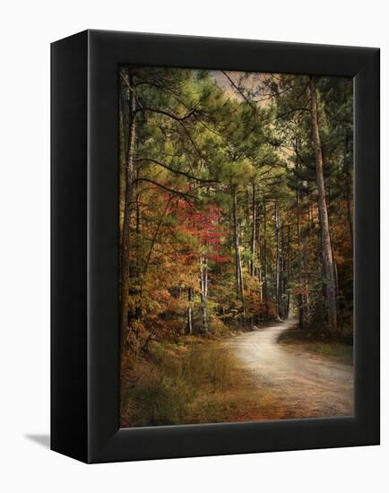 Autumn Forest 2-Jai Johnson-Framed Premier Image Canvas
