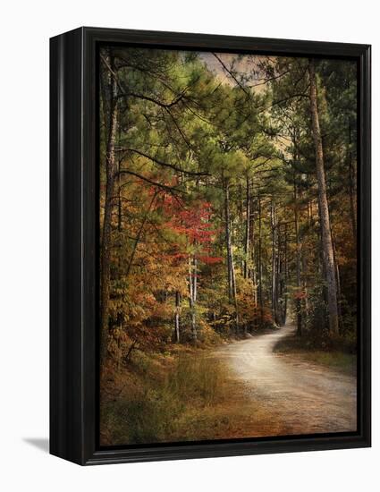 Autumn Forest 2-Jai Johnson-Framed Premier Image Canvas