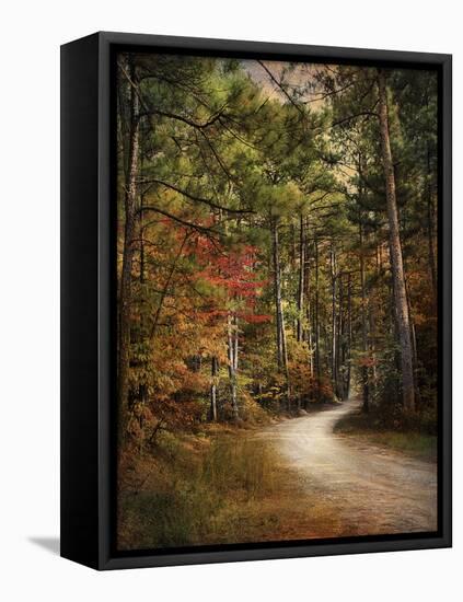 Autumn Forest 2-Jai Johnson-Framed Premier Image Canvas