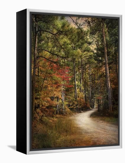 Autumn Forest 2-Jai Johnson-Framed Premier Image Canvas