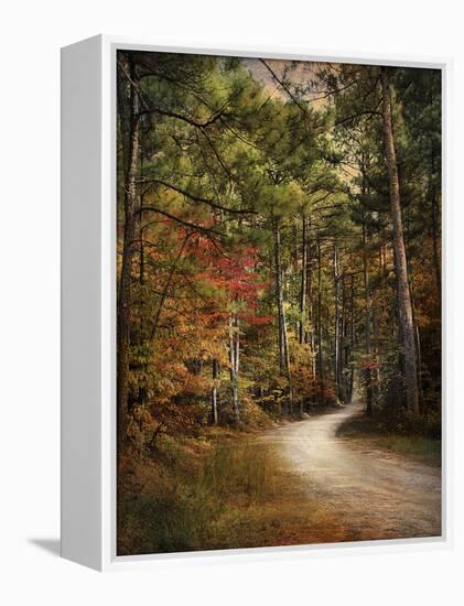 Autumn Forest 2-Jai Johnson-Framed Premier Image Canvas