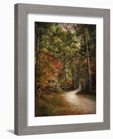 Autumn Forest 2-Jai Johnson-Framed Photographic Print