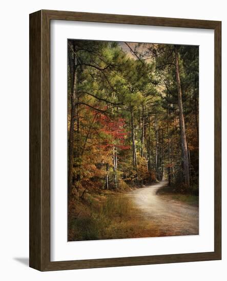 Autumn Forest 2-Jai Johnson-Framed Photographic Print
