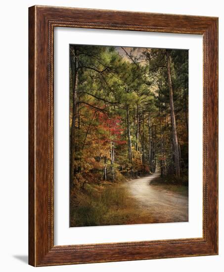 Autumn Forest 2-Jai Johnson-Framed Photographic Print