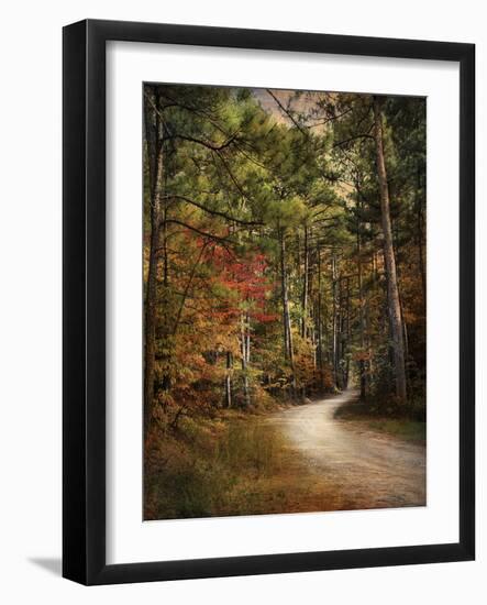 Autumn Forest 2-Jai Johnson-Framed Photographic Print