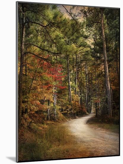 Autumn Forest 2-Jai Johnson-Mounted Photographic Print