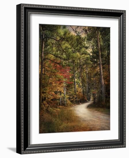 Autumn Forest 2-Jai Johnson-Framed Photographic Print