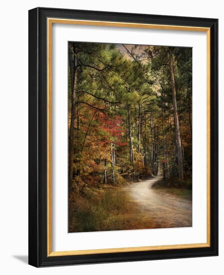 Autumn Forest 2-Jai Johnson-Framed Photographic Print
