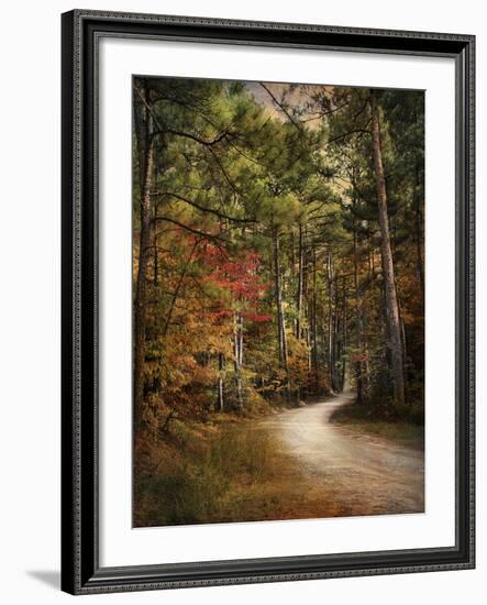 Autumn Forest 2-Jai Johnson-Framed Photographic Print