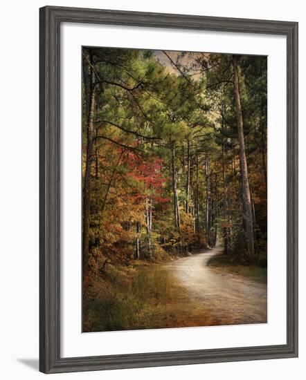 Autumn Forest 2-Jai Johnson-Framed Photographic Print