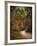 Autumn Forest 2-Jai Johnson-Framed Photographic Print