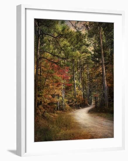 Autumn Forest 2-Jai Johnson-Framed Photographic Print