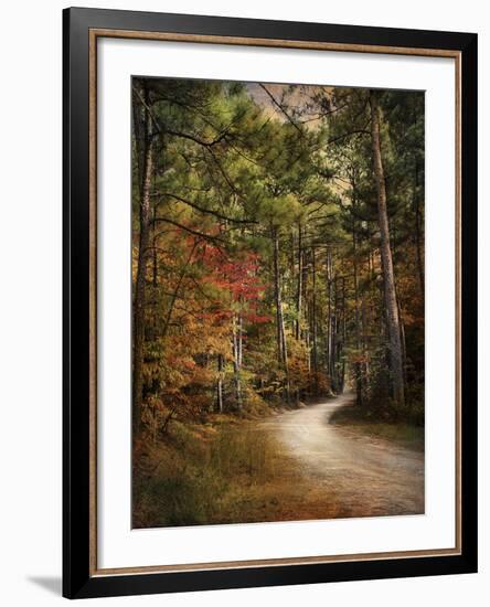 Autumn Forest 2-Jai Johnson-Framed Photographic Print