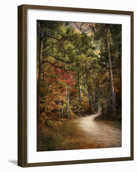 Autumn Forest 2-Jai Johnson-Framed Photographic Print