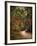 Autumn Forest 2-Jai Johnson-Framed Photographic Print