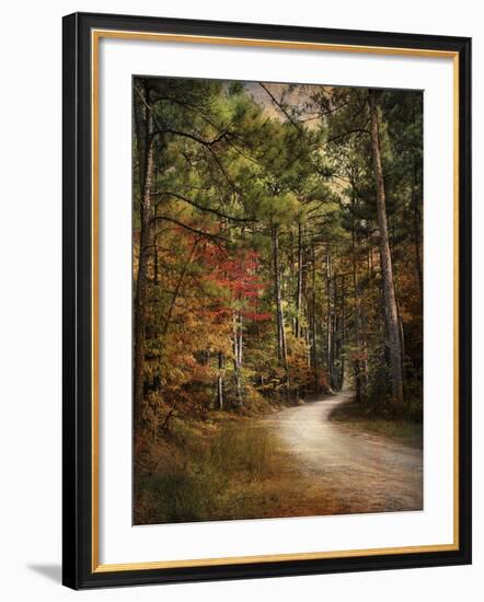 Autumn Forest 2-Jai Johnson-Framed Photographic Print