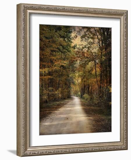 Autumn Forest 3-Jai Johnson-Framed Photographic Print