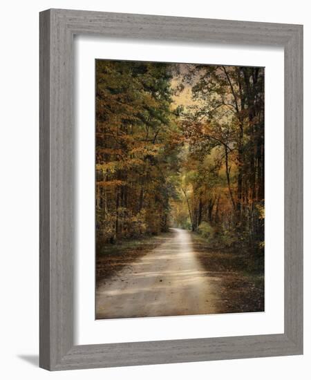 Autumn Forest 3-Jai Johnson-Framed Photographic Print