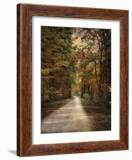 Autumn Forest 3-Jai Johnson-Framed Photographic Print