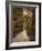 Autumn Forest 3-Jai Johnson-Framed Photographic Print