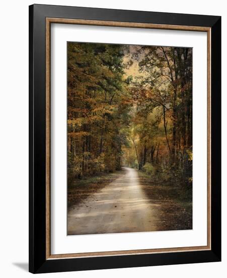 Autumn Forest 3-Jai Johnson-Framed Photographic Print