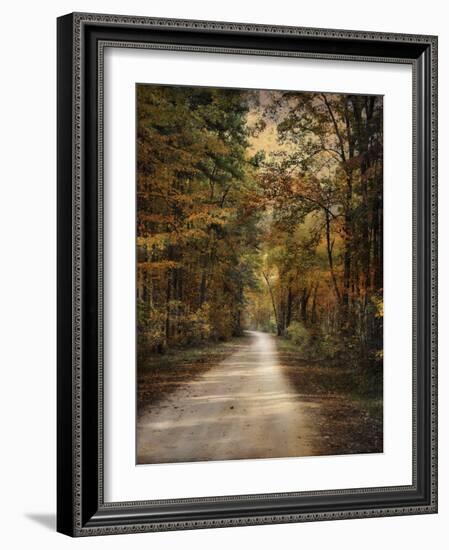 Autumn Forest 3-Jai Johnson-Framed Photographic Print