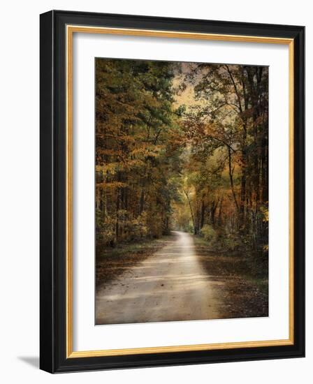 Autumn Forest 3-Jai Johnson-Framed Photographic Print