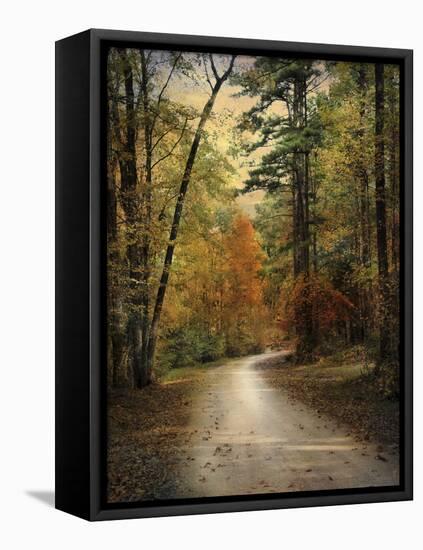 Autumn Forest 4-Jai Johnson-Framed Premier Image Canvas