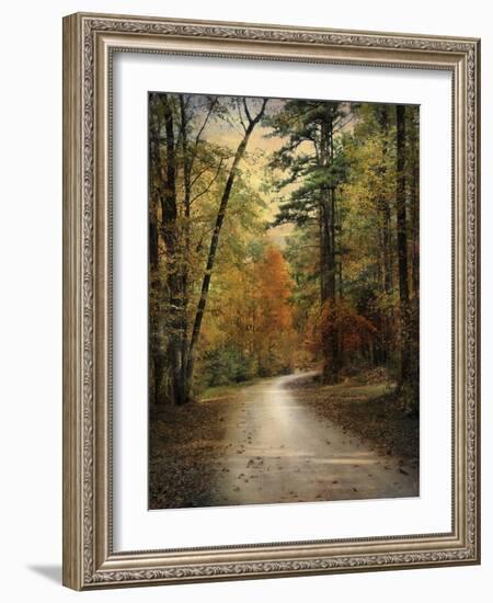 Autumn Forest 4-Jai Johnson-Framed Photographic Print