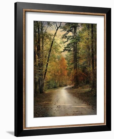 Autumn Forest 4-Jai Johnson-Framed Photographic Print