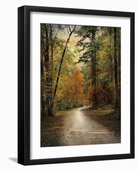 Autumn Forest 4-Jai Johnson-Framed Photographic Print