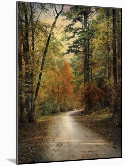 Autumn Forest 4-Jai Johnson-Mounted Photographic Print