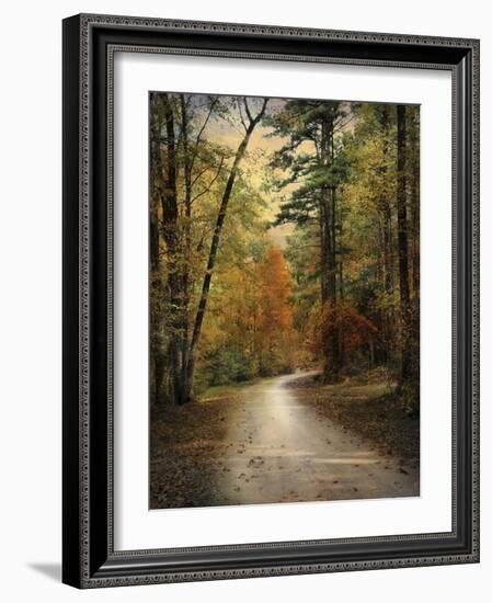 Autumn Forest 4-Jai Johnson-Framed Photographic Print