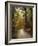 Autumn Forest 4-Jai Johnson-Framed Photographic Print