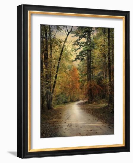 Autumn Forest 4-Jai Johnson-Framed Photographic Print