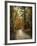 Autumn Forest 4-Jai Johnson-Framed Photographic Print