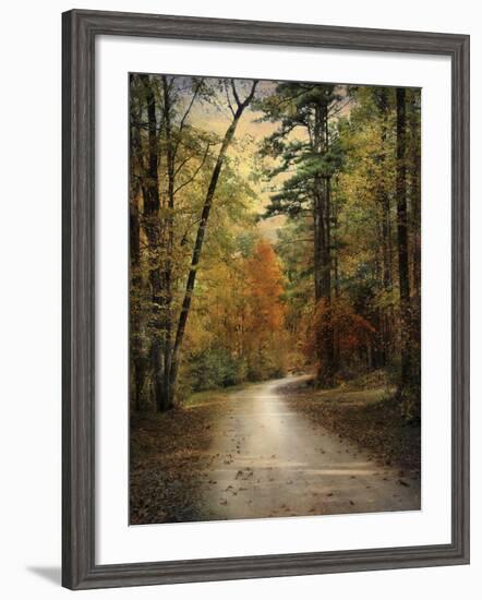 Autumn Forest 4-Jai Johnson-Framed Photographic Print