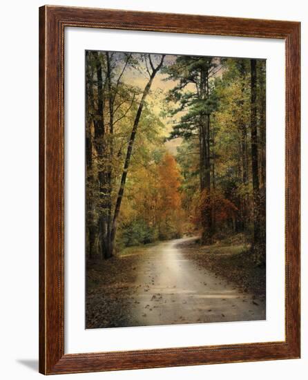 Autumn Forest 4-Jai Johnson-Framed Photographic Print