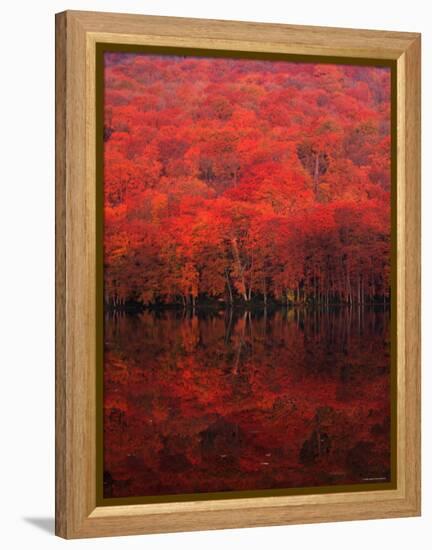 Autumn Forest and Lake-null-Framed Premier Image Canvas
