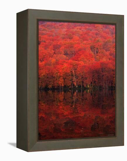 Autumn Forest and Lake-null-Framed Premier Image Canvas