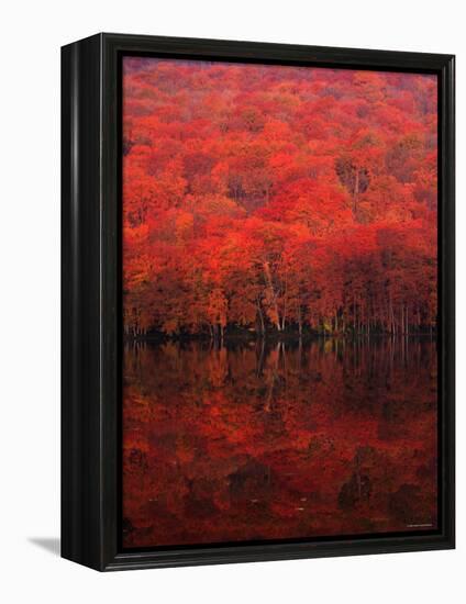 Autumn Forest and Lake-null-Framed Premier Image Canvas