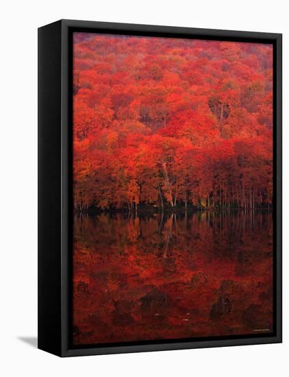 Autumn Forest and Lake-null-Framed Premier Image Canvas