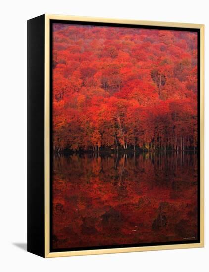 Autumn Forest and Lake-null-Framed Premier Image Canvas