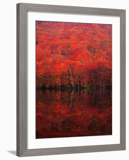 Autumn Forest and Lake-null-Framed Photographic Print