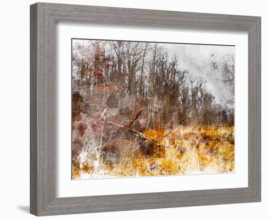 Autumn Forest I-Chamira Young-Framed Art Print