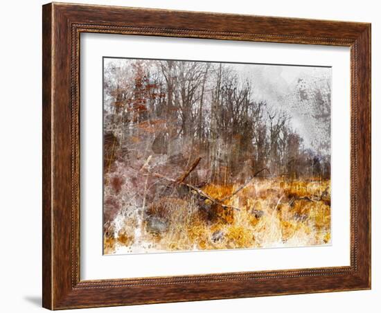 Autumn Forest I-Chamira Young-Framed Art Print