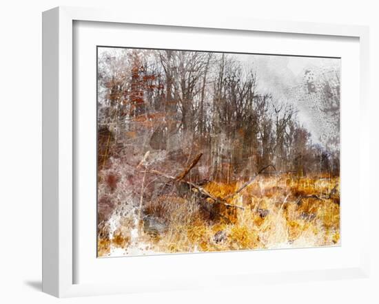 Autumn Forest I-Chamira Young-Framed Art Print