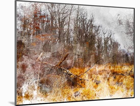 Autumn Forest I-Chamira Young-Mounted Art Print