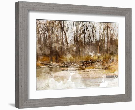 Autumn Forest II-Chamira Young-Framed Art Print